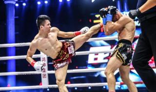 中国散打vs泰拳